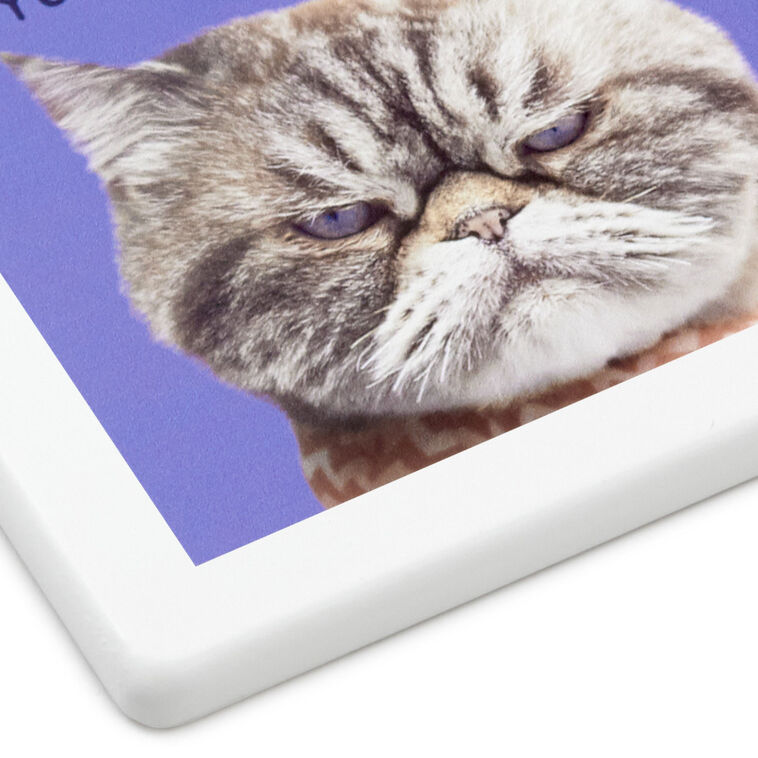 Hallmark Grumpy Kevin The Cat Photo Funny Coaster