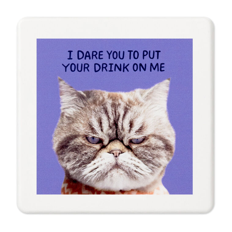 hallmark Grumpy Kevin the Cat Photo Funny Coaster