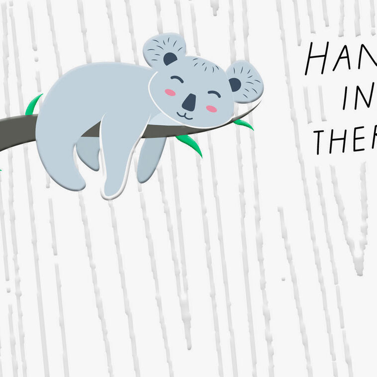 Hallmark Hang In There Encouragement Card