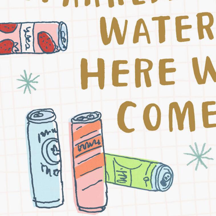 Hallmark Hard Seltzer Funny Birthday Card