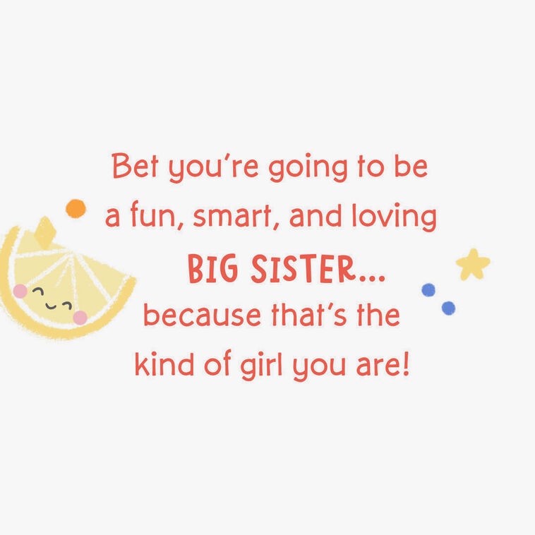 Hallmark Hello Big Sister New Baby Card