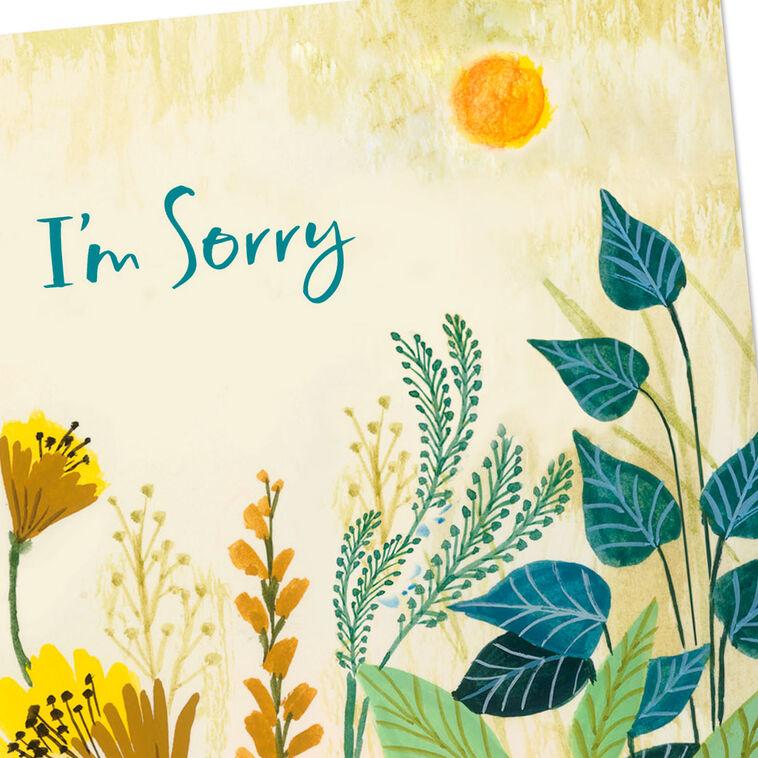 Hallmark I Hope You Can Forgive Me Apology Card