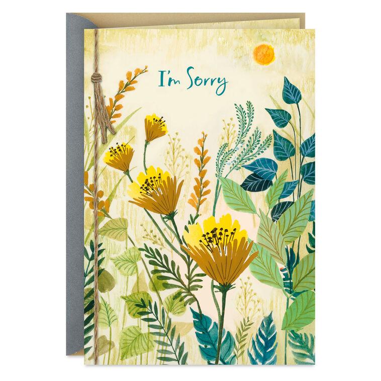 hallmark I Hope You Can Forgive Me Apology Card