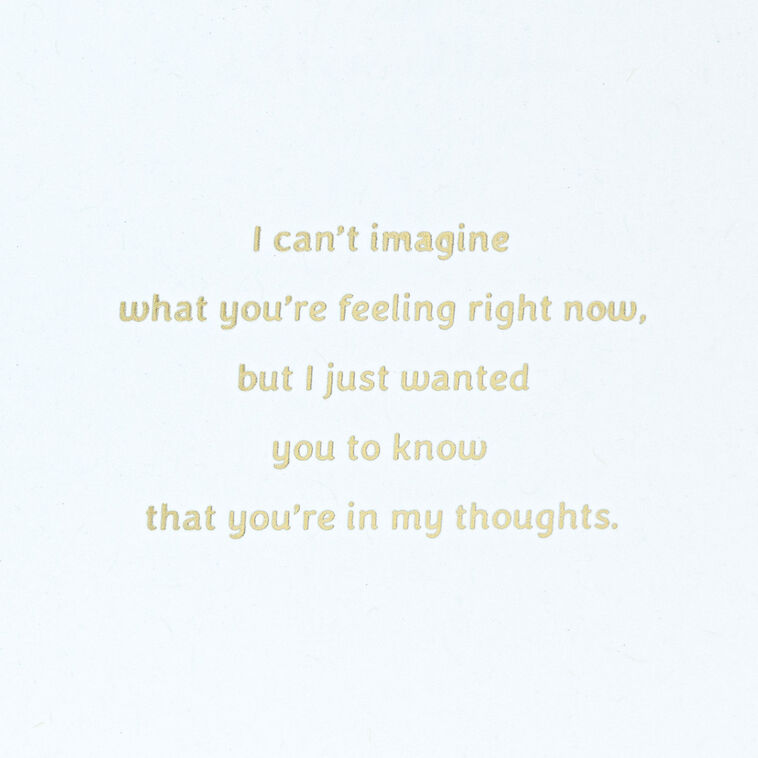 Hallmark I'm So So Sorry Sympathy Card