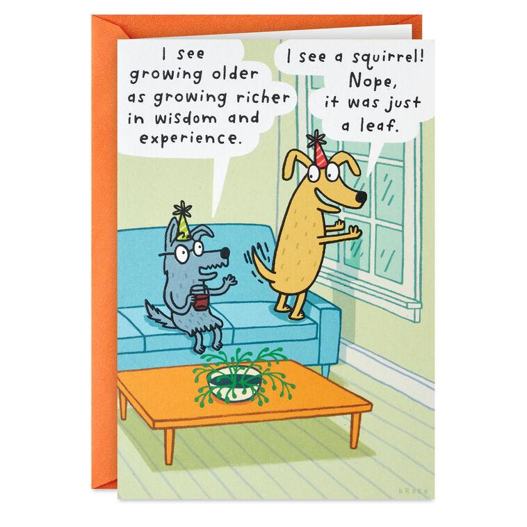 hallmark I See a Squirrel Funny Birthday Card