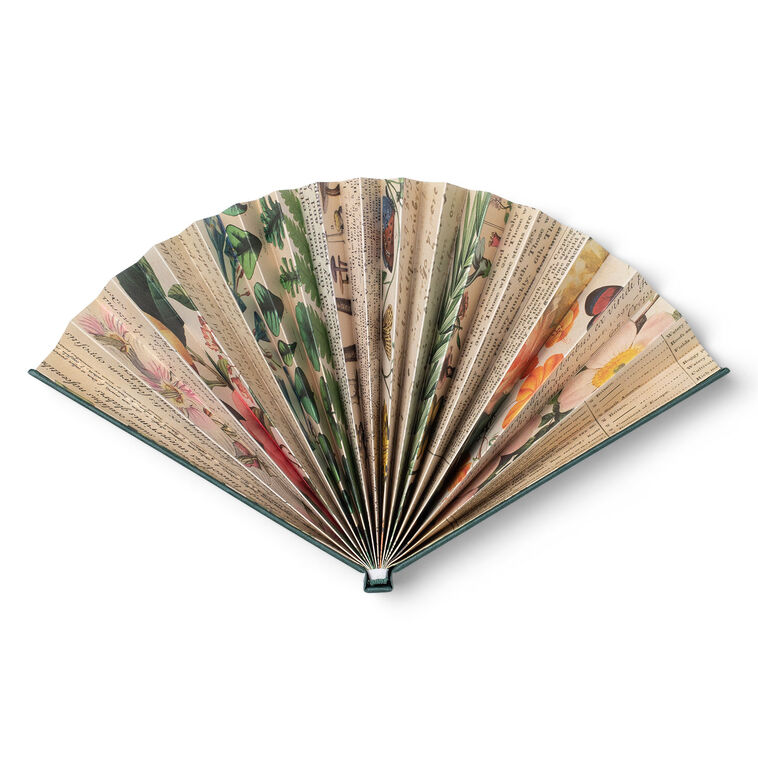 Hallmark IF USA Botanical Book Fan