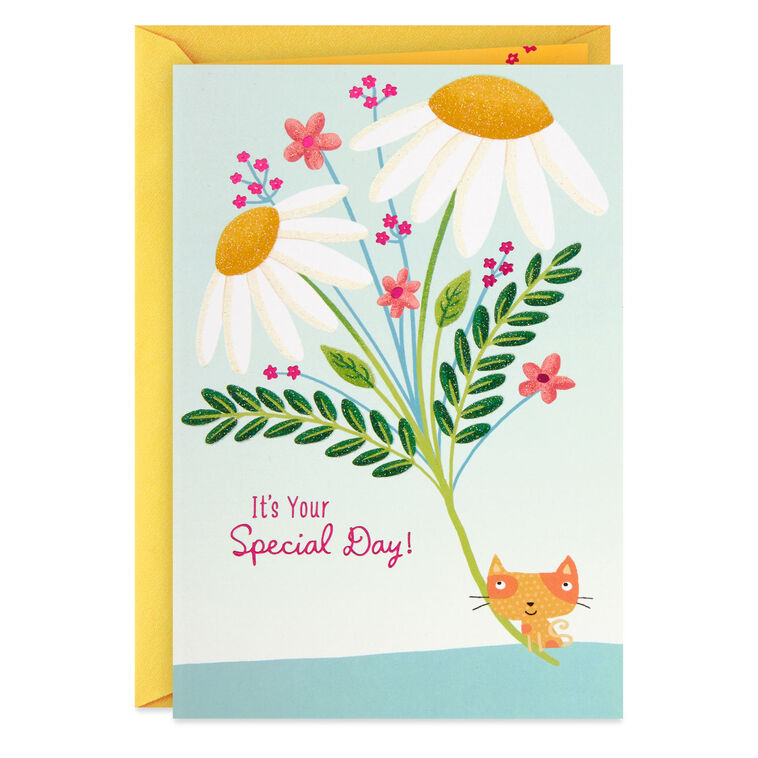 hallmark It's Your Special Day Birthday Card