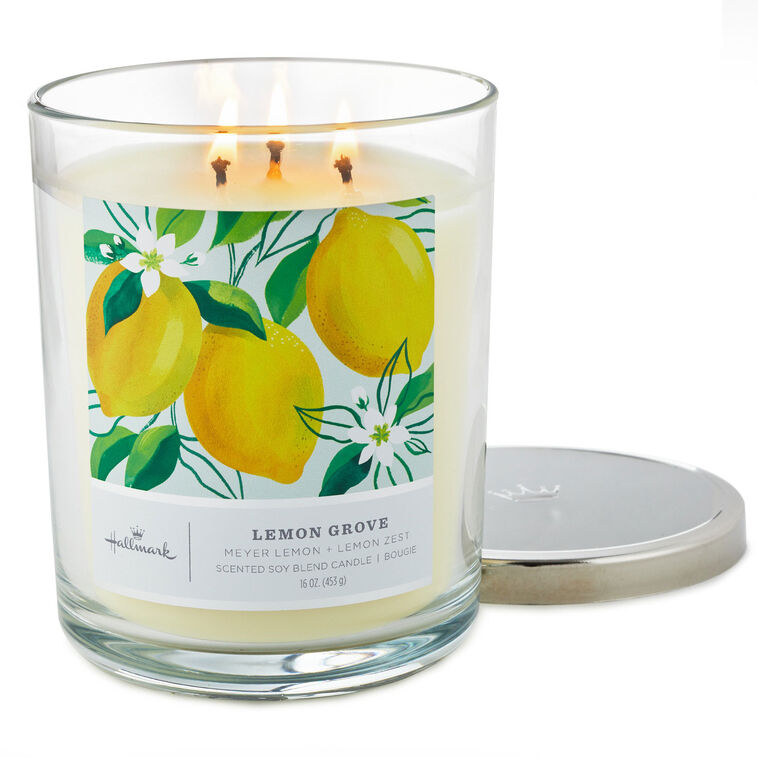 Hallmark Lemon Grove 3-Wick Jar Candle 16 Oz