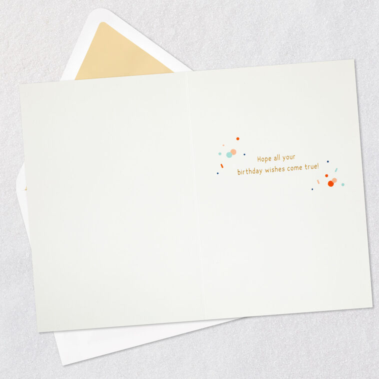 Hallmark Let's Celebrate Birthday Card