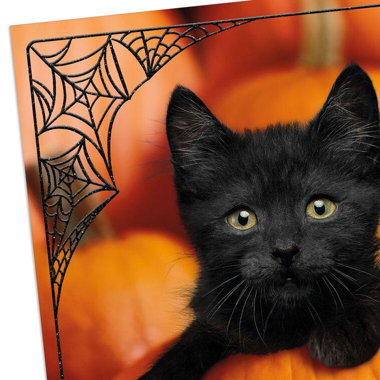 Hallmark Let The Fun Begin Halloween Card