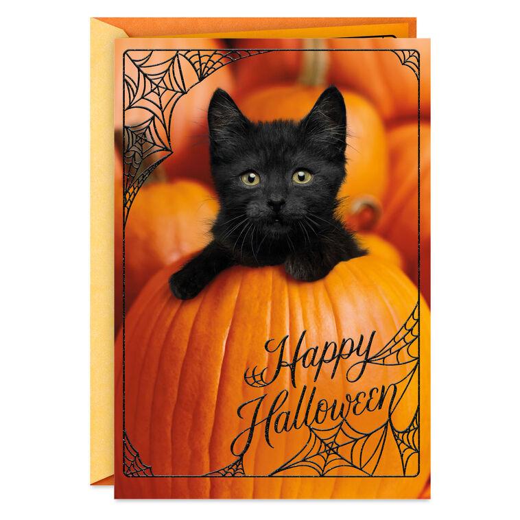 hallmark Let the Fun Begin Halloween Card