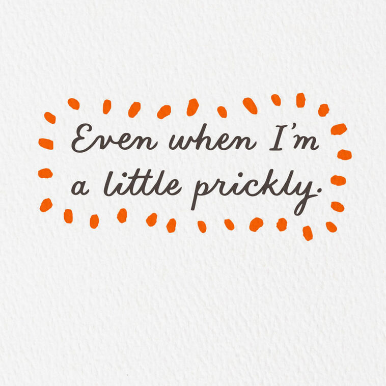 Hallmark Little Prickly Funny Love Card