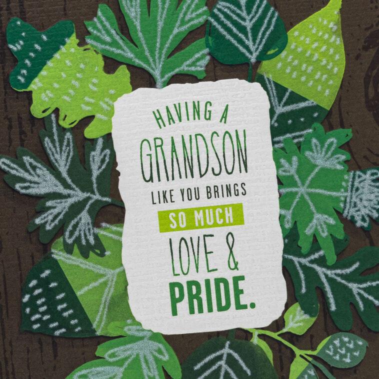 Hallmark Love And Pride Birthday Card For Grandson