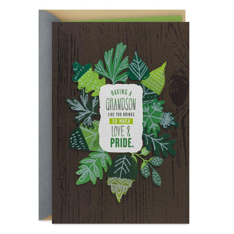 hallmark Love and Pride Birthday Card for Grandson