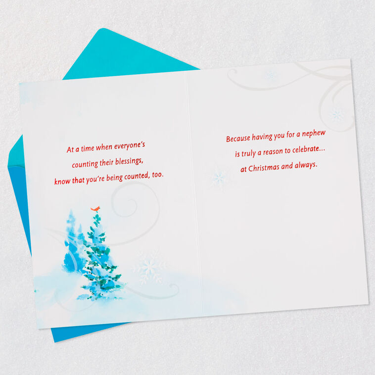 Hallmark Love You Nephew Christmas Card
