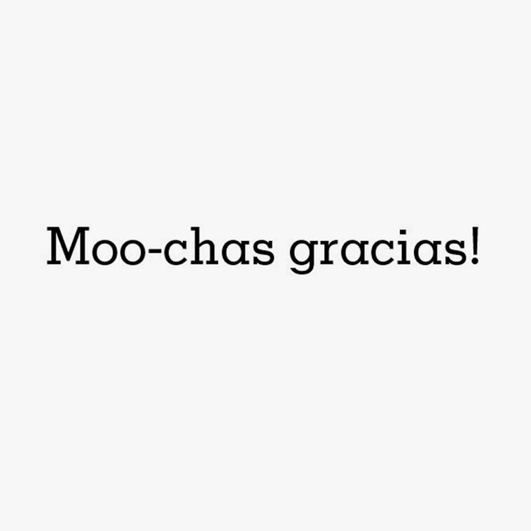 Hallmark Moo-chas Gracias Funny Thank You Card