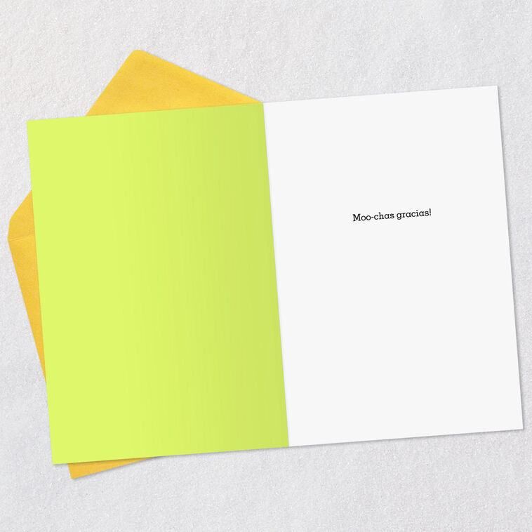 Hallmark Moo-chas Gracias Funny Thank You Card