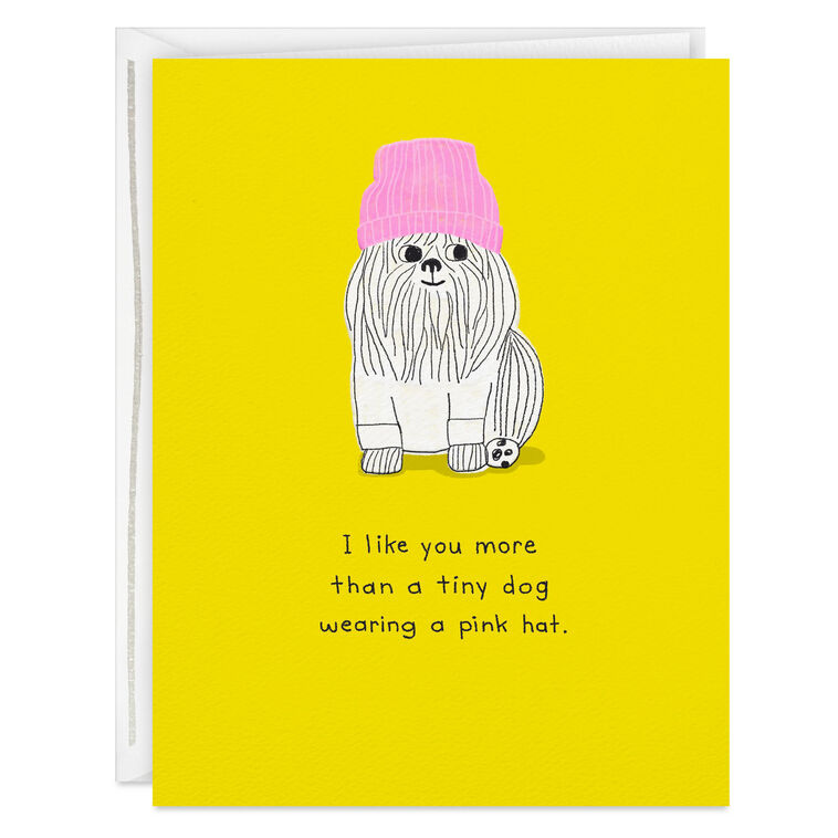 hallmark More Than a Tiny Dog Card