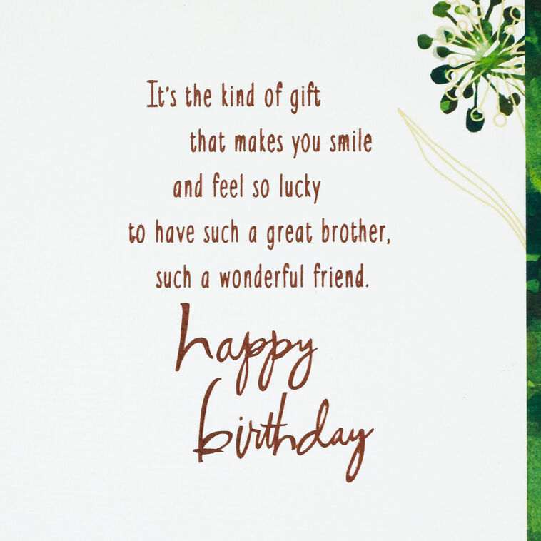 Hallmark My Brother My Friend Birthday Card