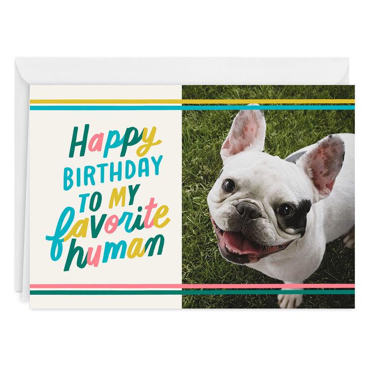hallmark My Favorite Human Custom Card