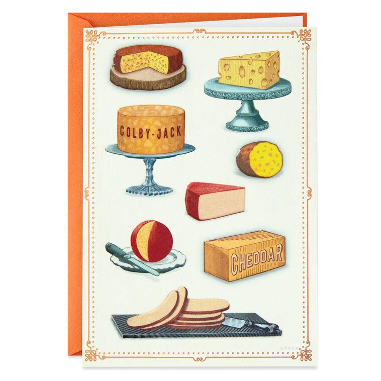 hallmark Nice and Cheesy Funny Birthday Card