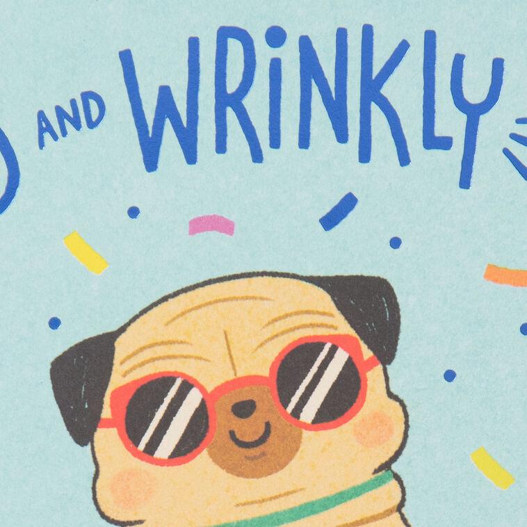Hallmark Old And Wrinkly Pug Funny Birthday Card