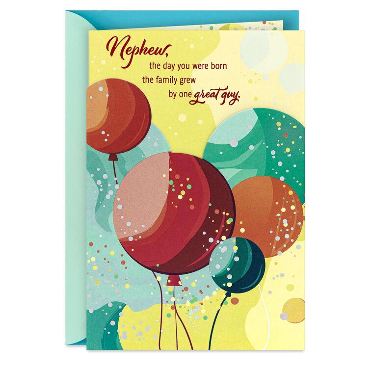 hallmark One Great Guy Birthday Card for Nephew