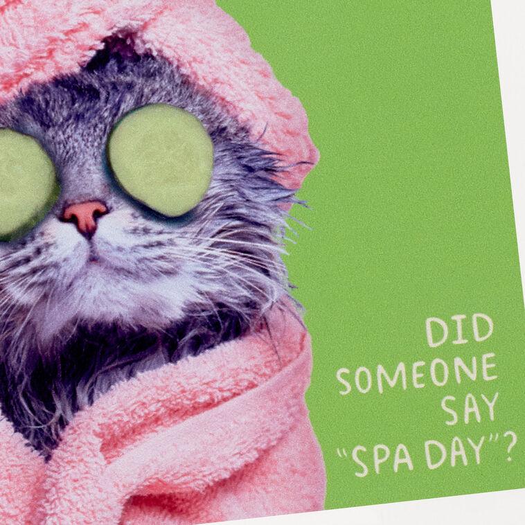 Hallmark Pampered Cat Photo Funny Coaster