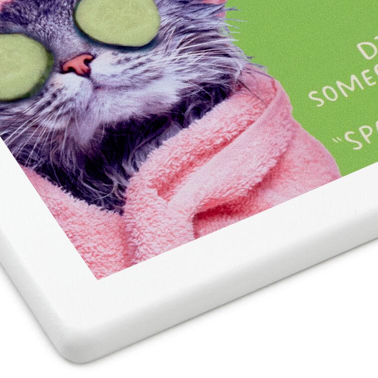 Hallmark Pampered Cat Photo Funny Coaster
