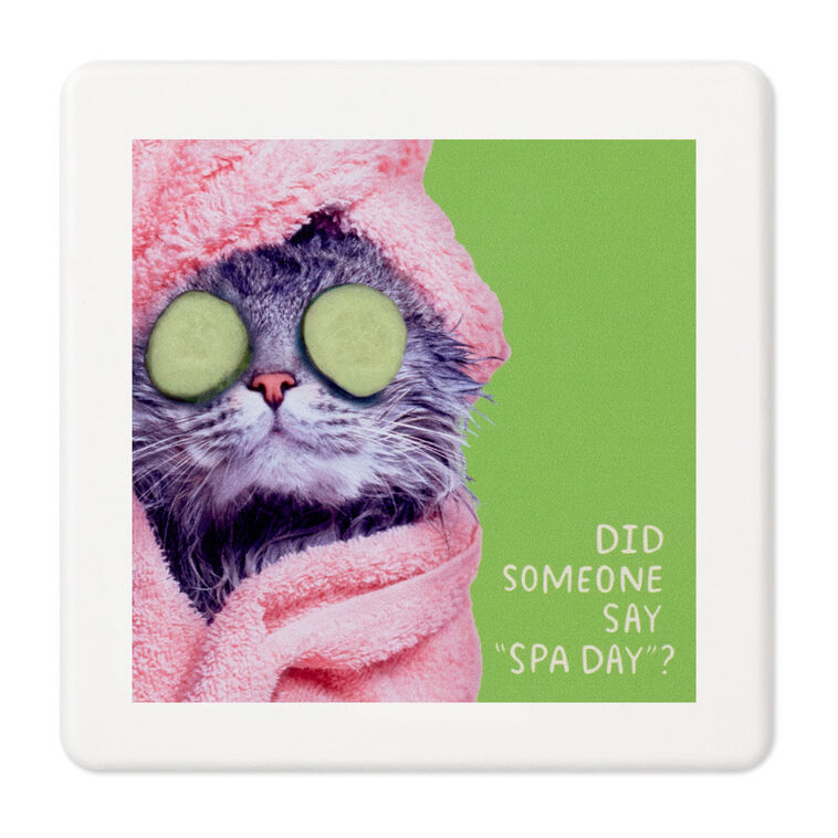 hallmark Pampered Cat Photo Funny Coaster