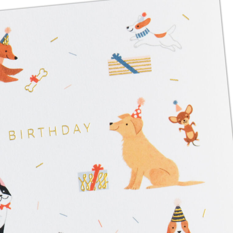 Hallmark Party Pups Birthday Card