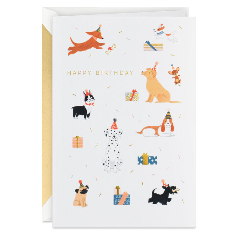 hallmark Party Pups Birthday Card
