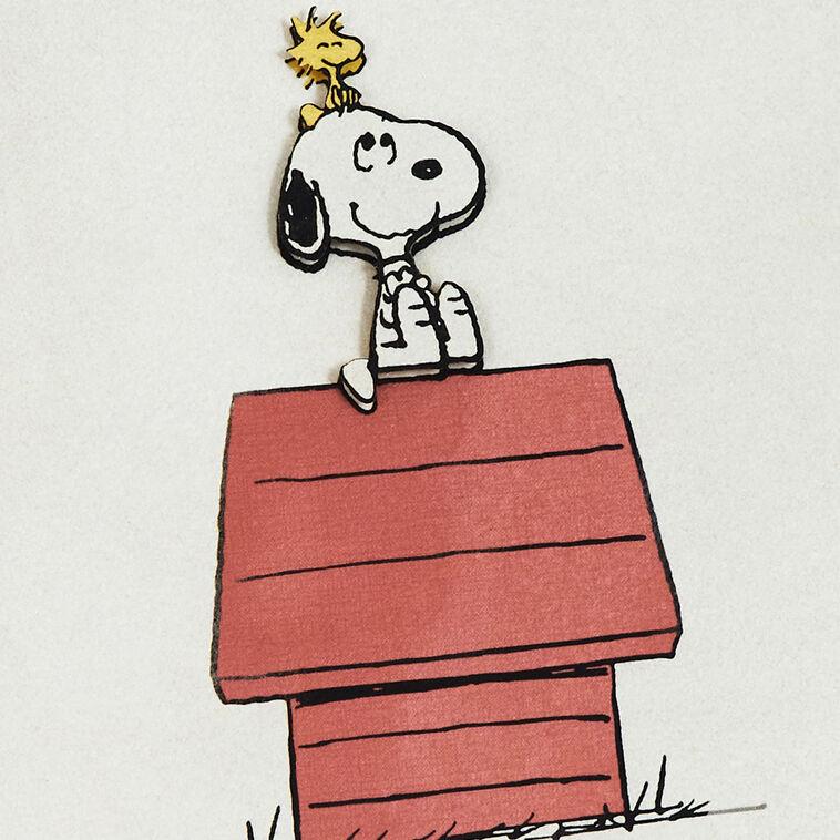 Hallmark Peanuts® Snoopy And Woodstock Blank Card