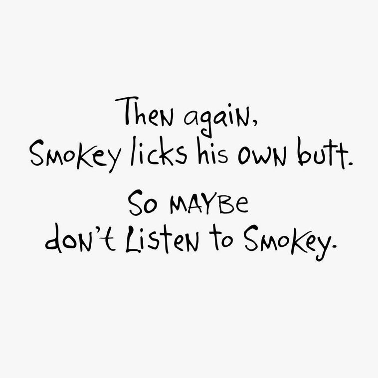 Hallmark Pessimistic Cat Funny Birthday Card