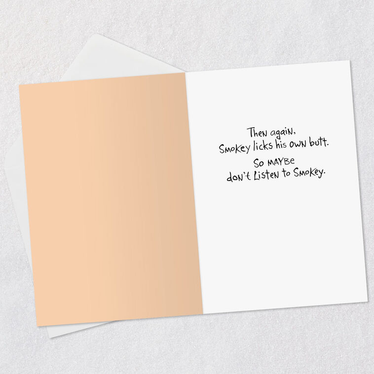 Hallmark Pessimistic Cat Funny Birthday Card