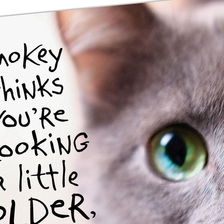 Hallmark Pessimistic Cat Funny Birthday Card