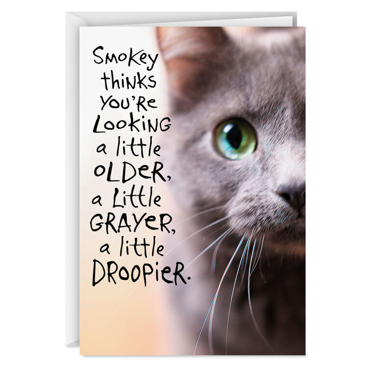 hallmark Pessimistic Cat Funny Birthday Card