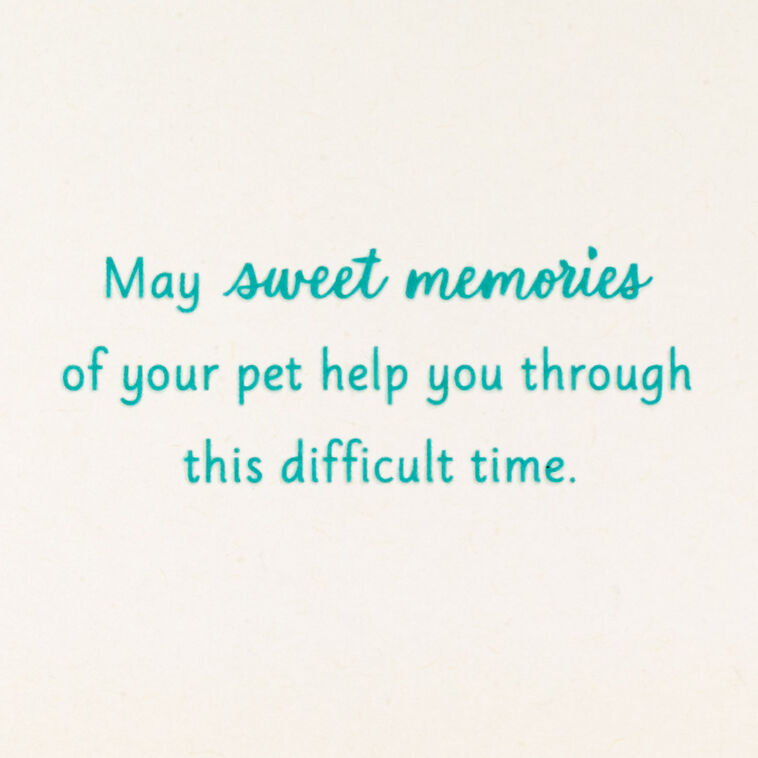 Hallmark Pets Never Leave Our Hearts Sympathy Card
