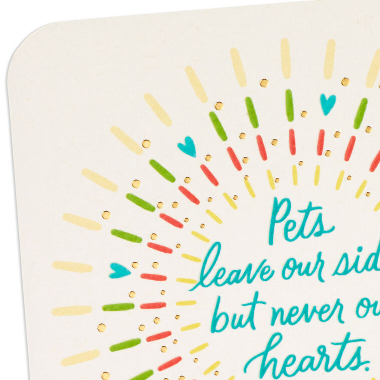 Hallmark Pets Never Leave Our Hearts Sympathy Card
