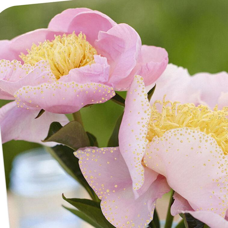 Hallmark Pink Peonies In Blue Jar Blank Card