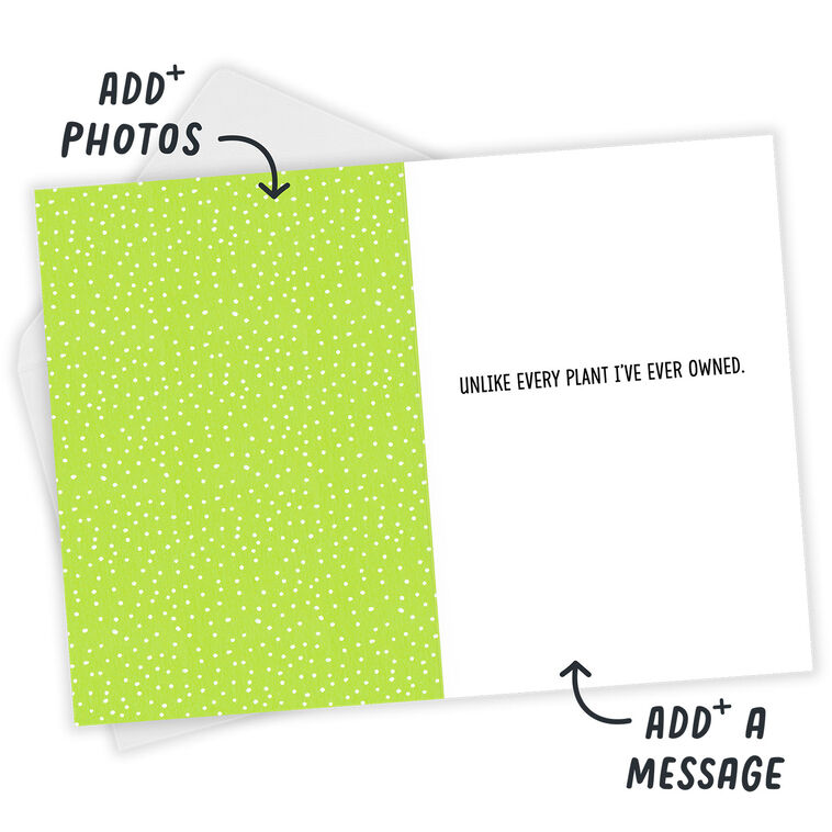 Hallmark Plants Funny Custom Friendship Card