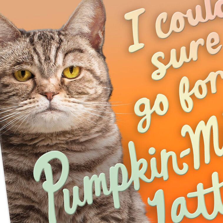 Hallmark Pumpkin-Mice Latte Funny Halloween Card