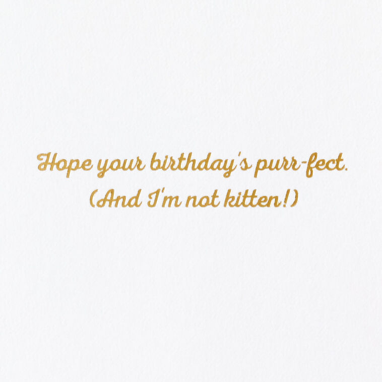 Hallmark Purr-fect Day Funny Birthday Card
