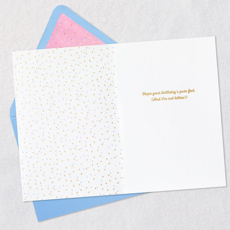Hallmark Purr-fect Day Funny Birthday Card