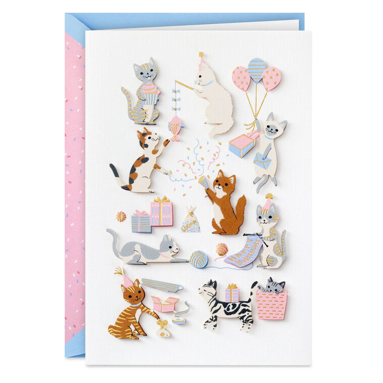 hallmark Purr-fect Day Funny Birthday Card