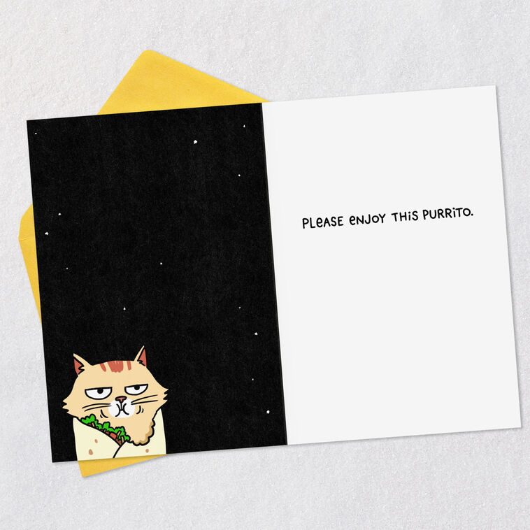 Hallmark Purrito Funny Card