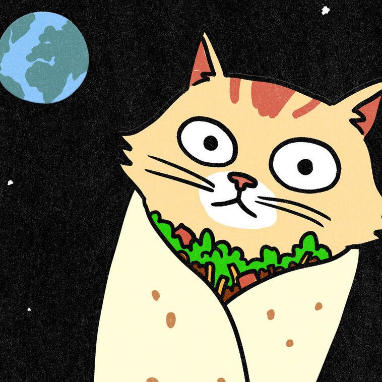 Hallmark Purrito Funny Card