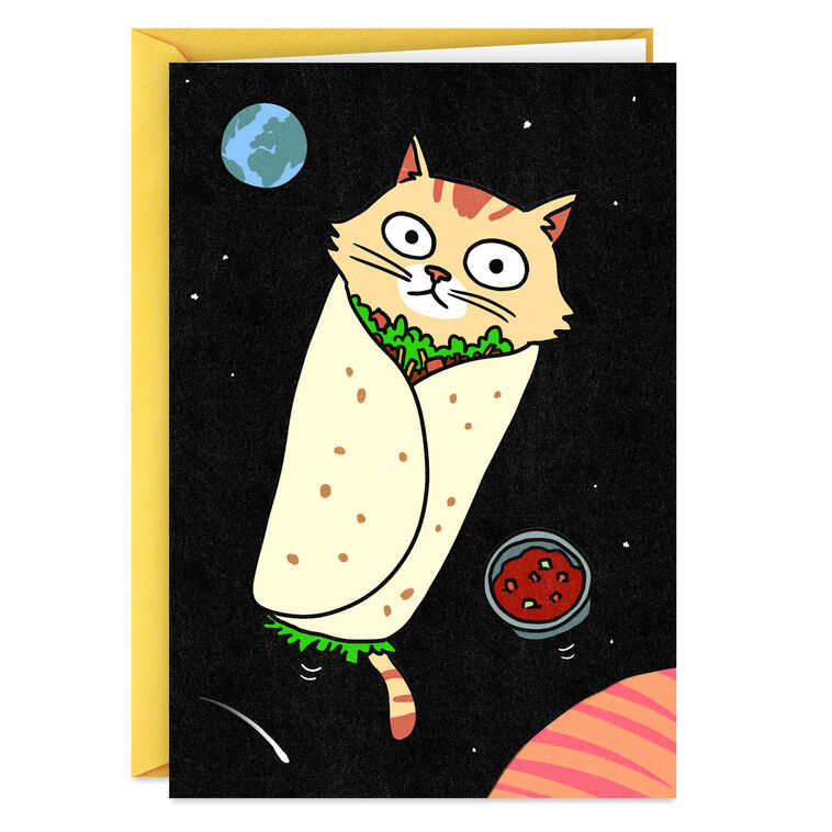hallmark Purrito Funny Card