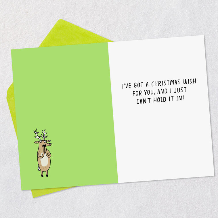 Hallmark Reindeer Farts Funny Christmas Card