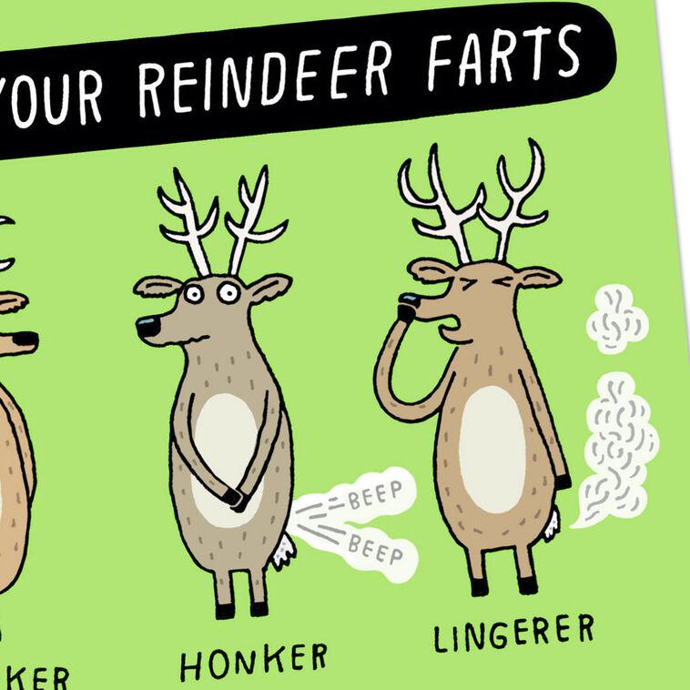 Hallmark Reindeer Farts Funny Christmas Card